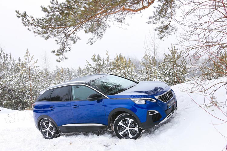 Révision constructeur Peugeot Riom